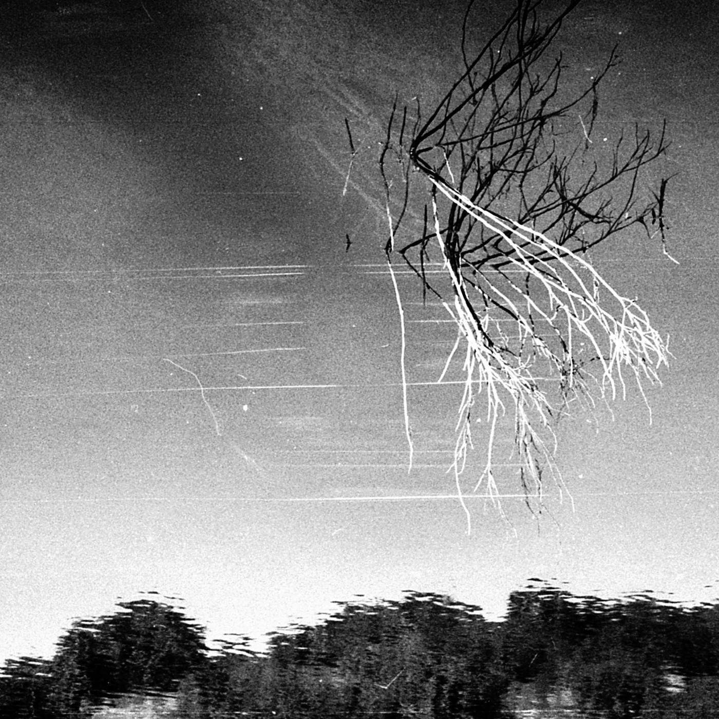 Field I cover art